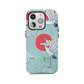 Luchtdans Kraanvogels