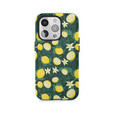 Boomgaard met citroenen