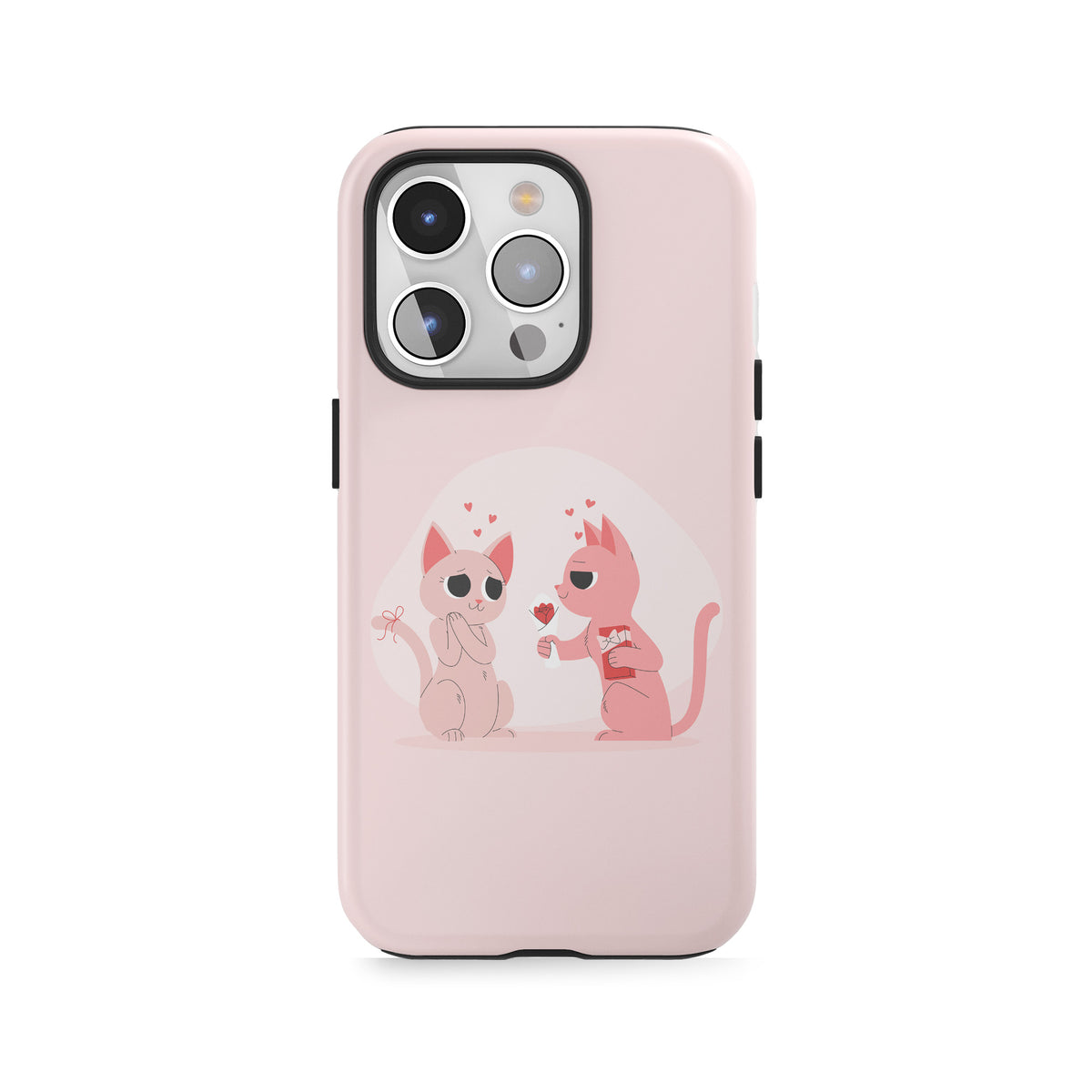 Kitty Companions