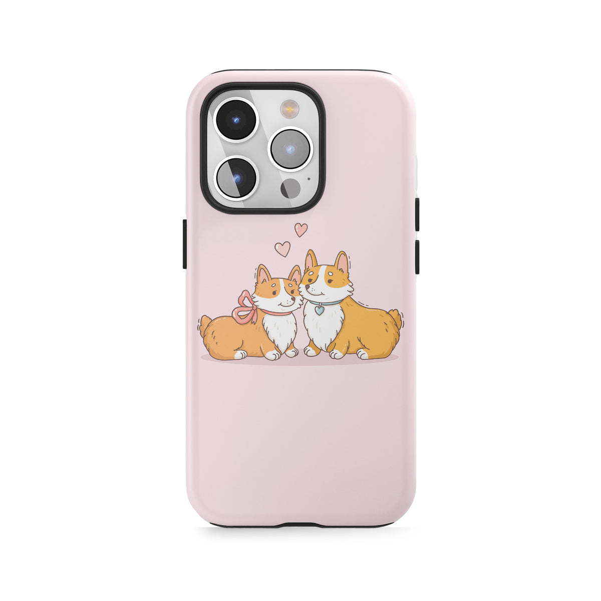Corgi Couple Cuties