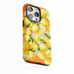 Citrus Splash Burst